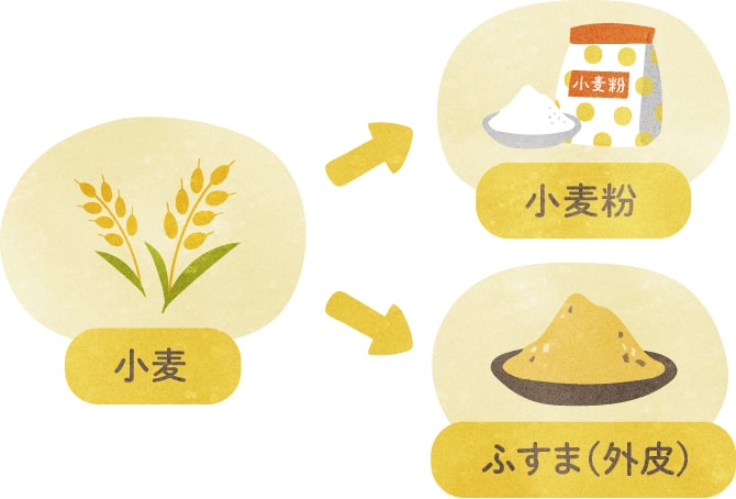 小麦から小麦粉、ふすま（外皮）が生じることを表すイラスト